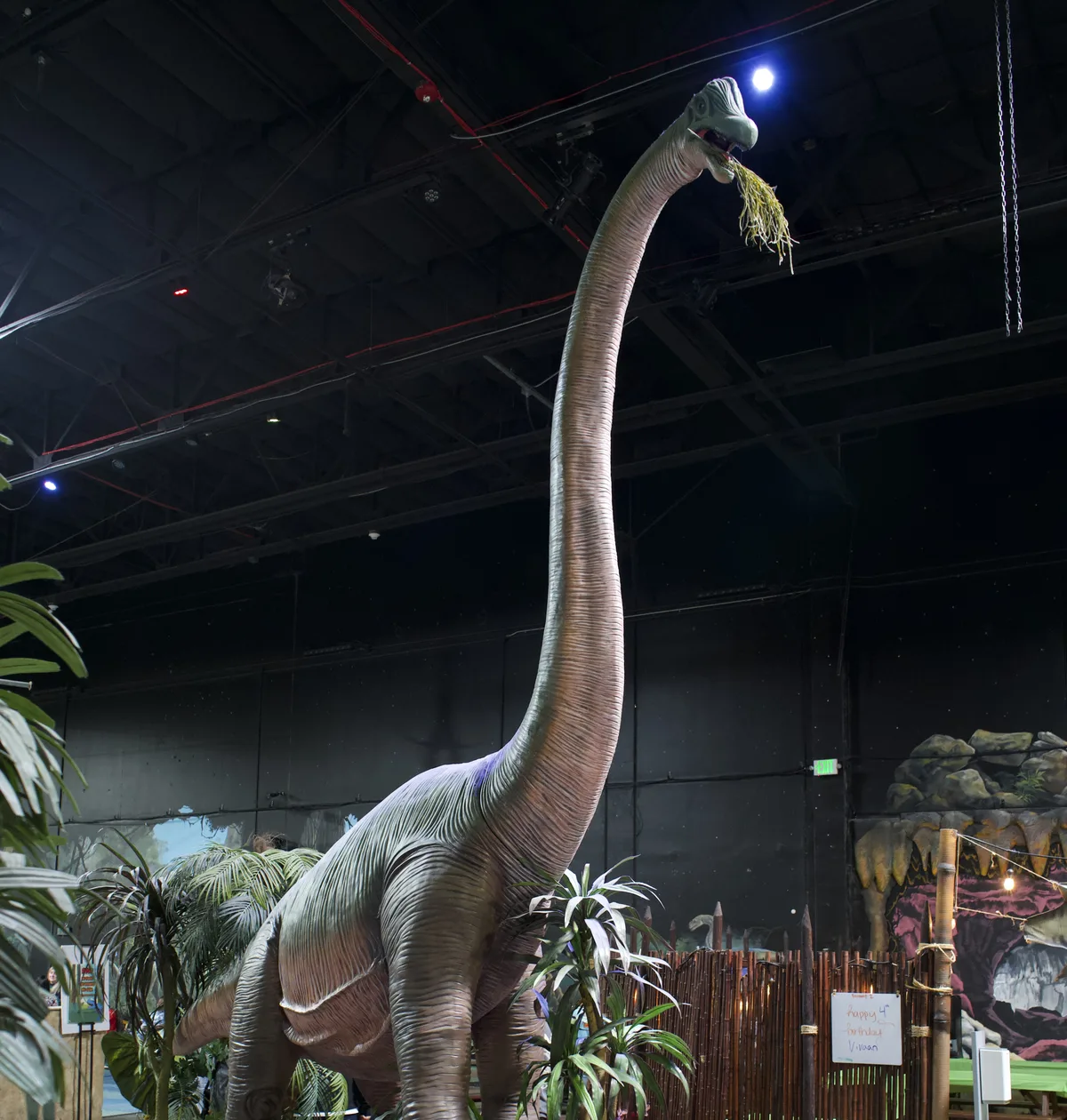 Brachiosaurus at Lost Worlds
