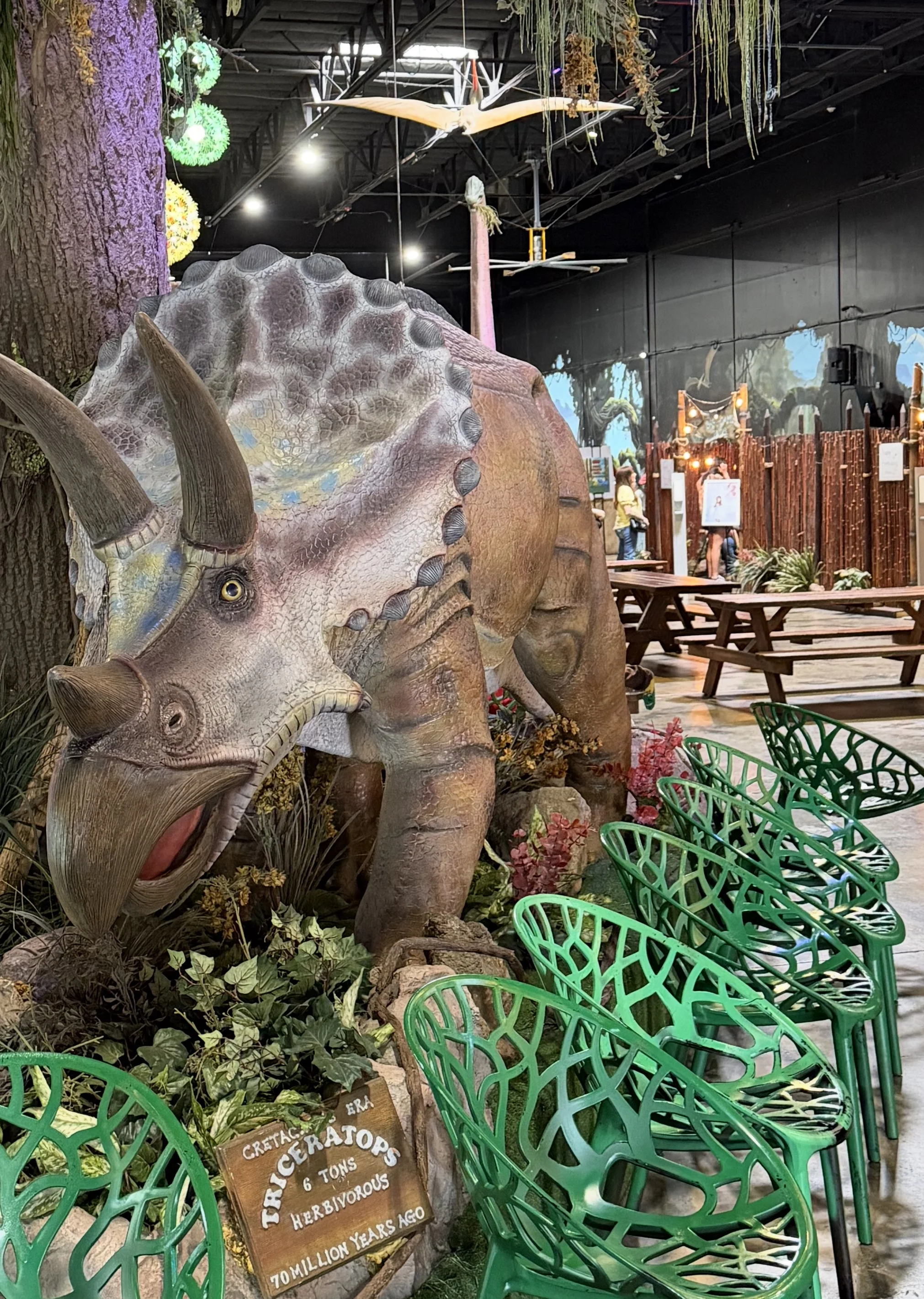 Birthday party at Lost Worlds